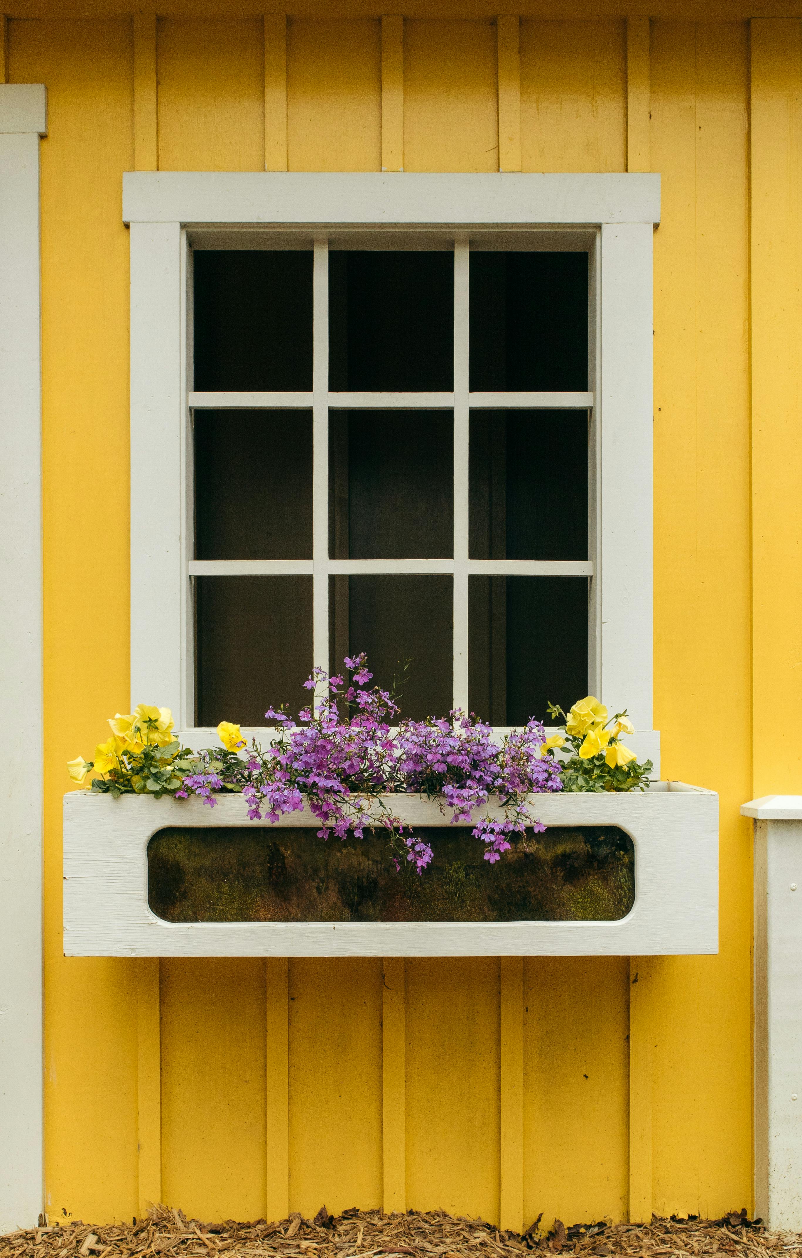 A vibrant yellow wall with a window and colorful flowers in a white planter box.