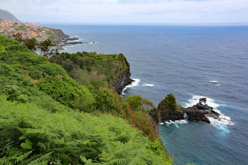 Free stock photo of cliffs, coast, horizon