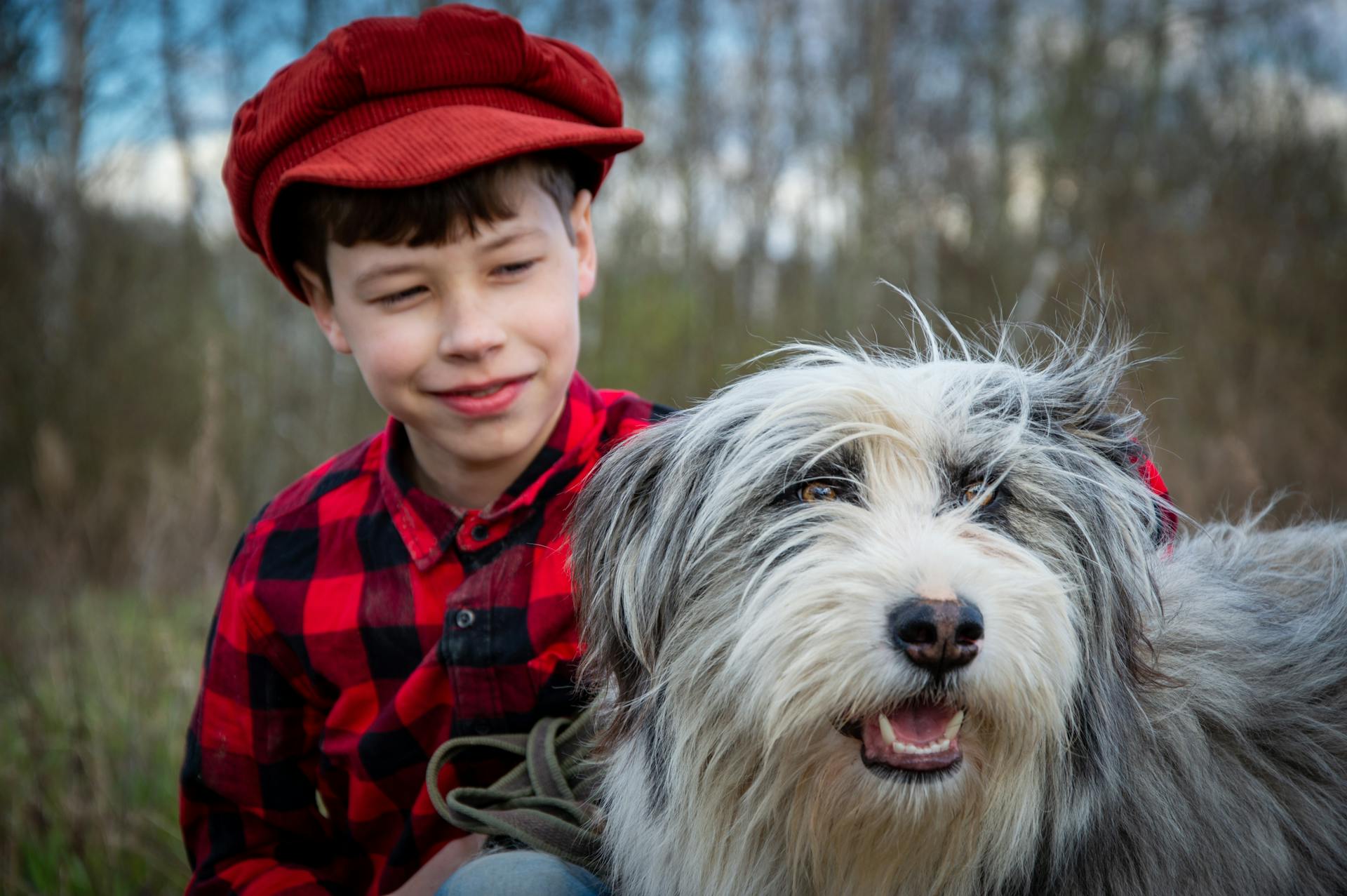 Porträtt av pojke och skäggig colliehund