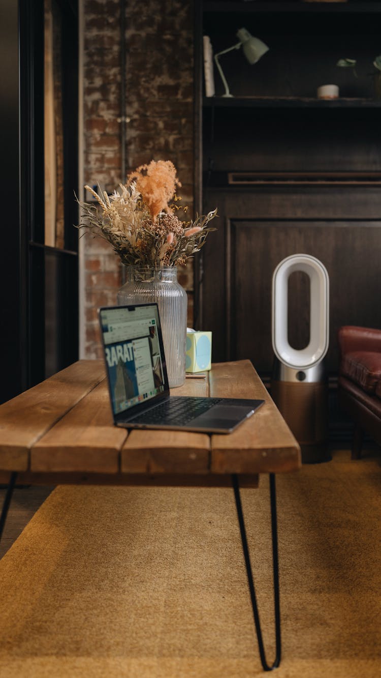 Laptop And Plants On Table