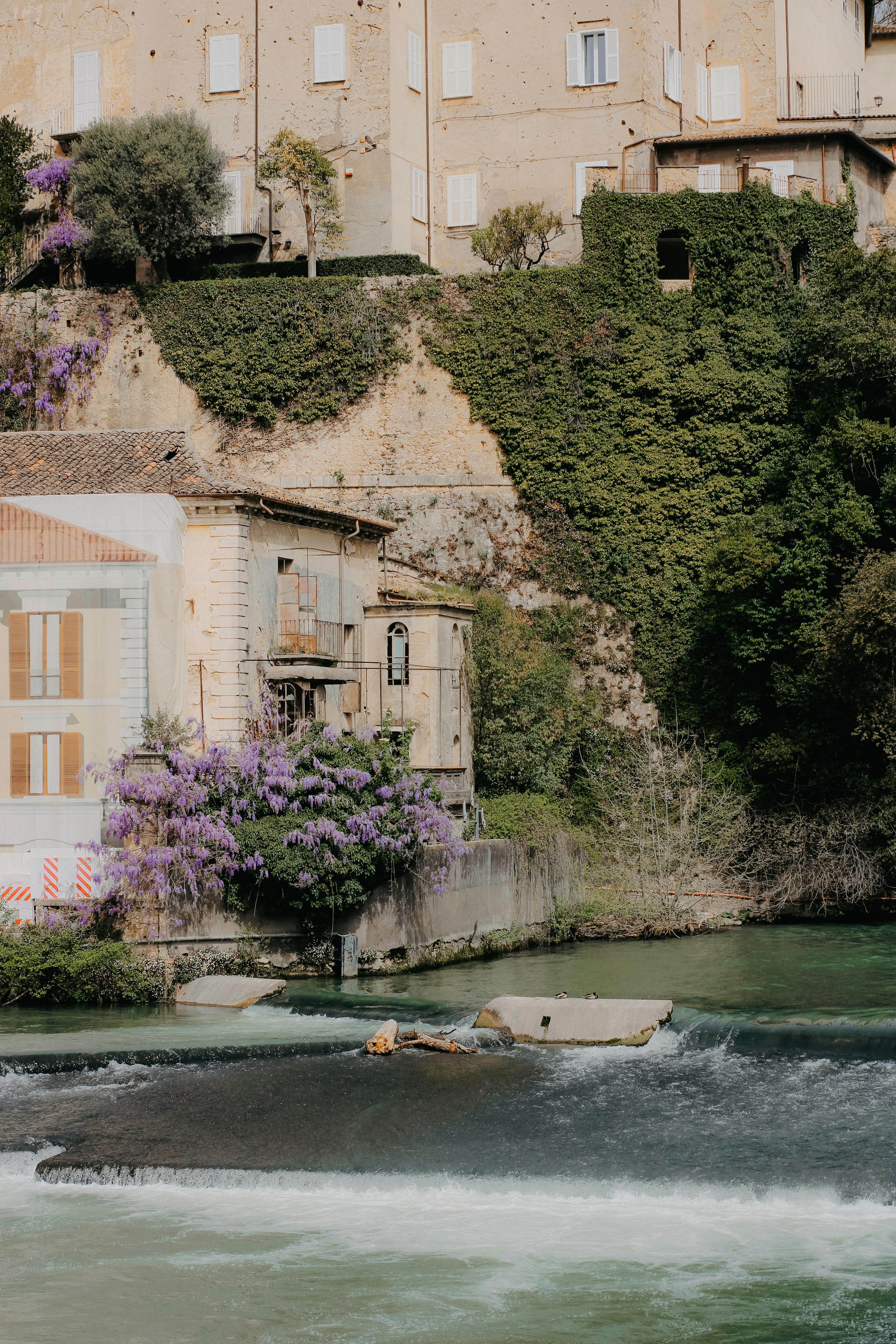 Picturesque town with ivy, flowers, and river view on a sunny day.