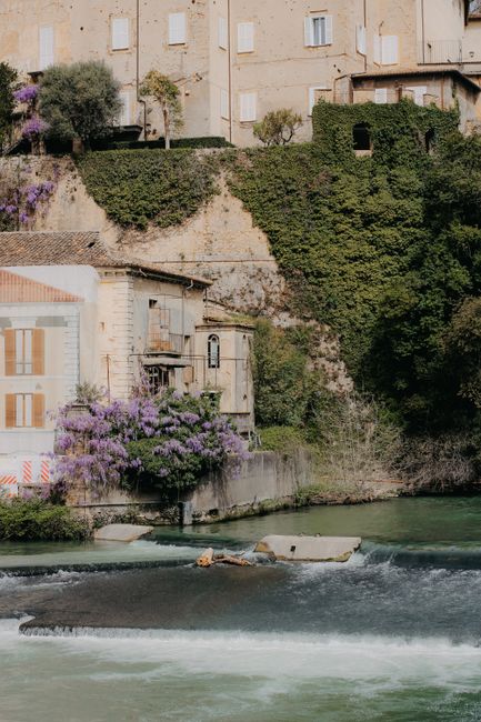 Picturesque town with ivy, flowers, and river view on a sunny day.
