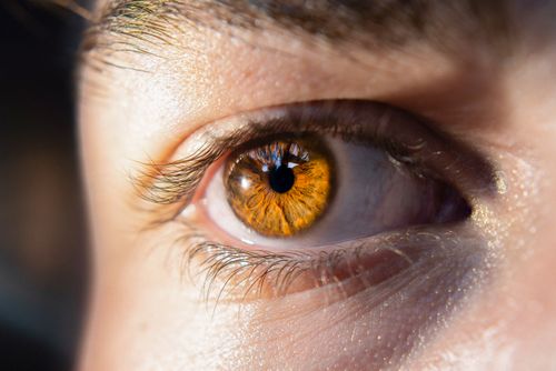 Free Detailed close-up of a human eye with brown iris, reflecting light and surroundings. Stock Photo