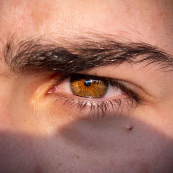Close up of Person Eye
