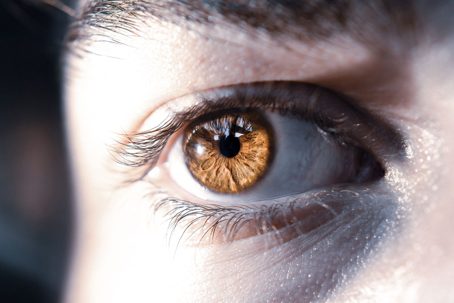 Your Eyes: A Lifelong Journey of Growth and Change