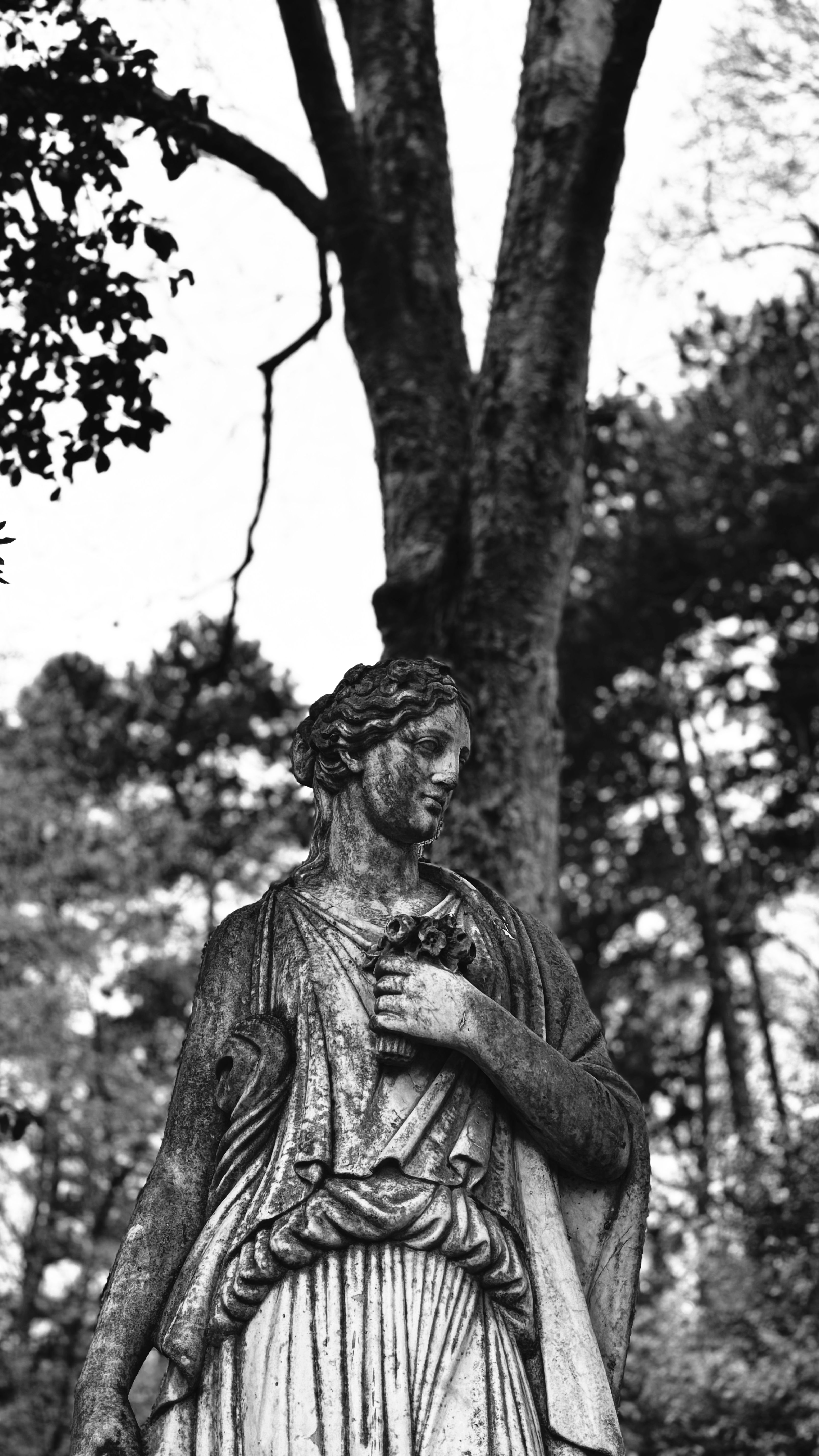 Elegant black and white photograph of a statue in a scenic park setting, Frankfurt.