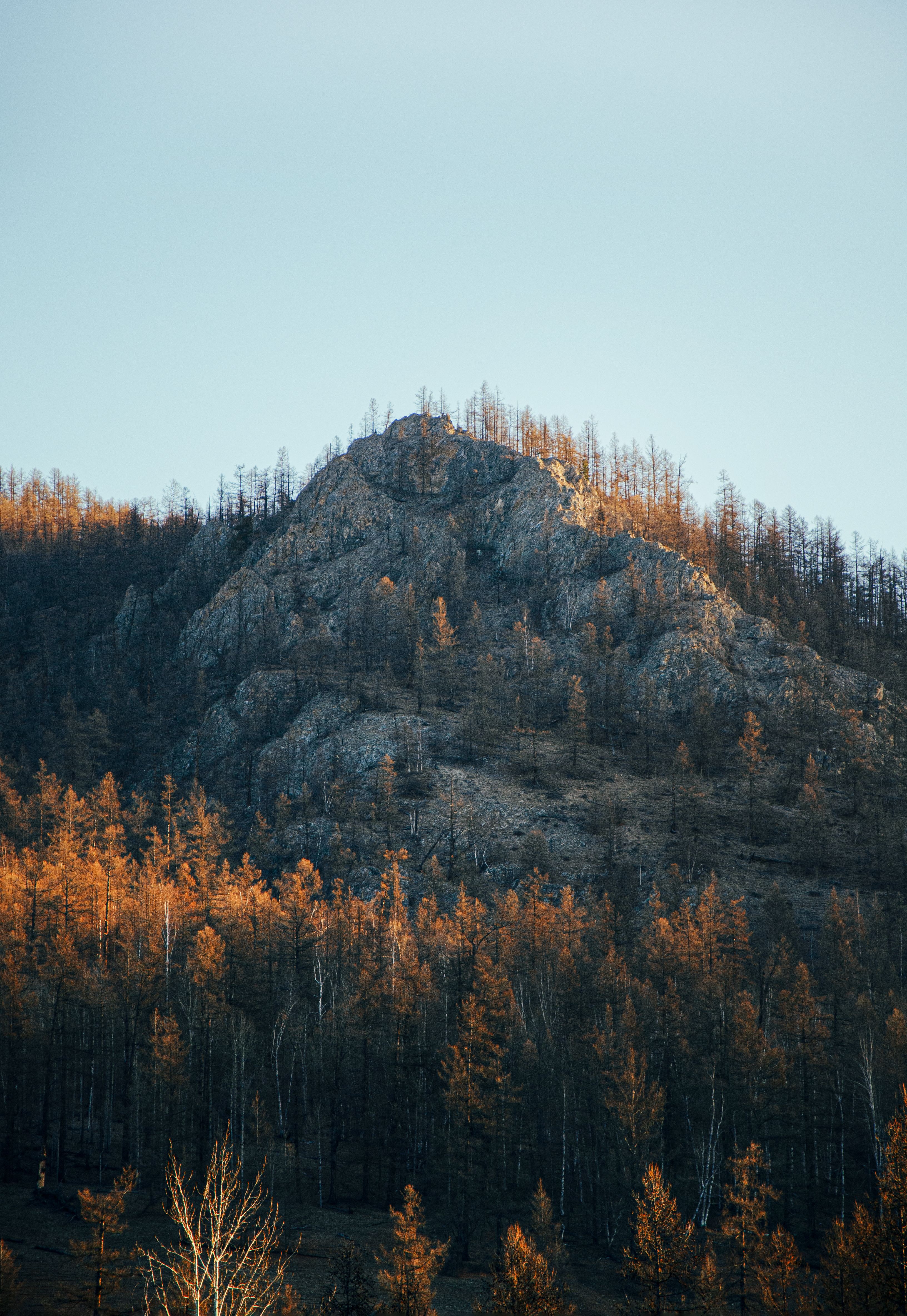 View of a Rocky Hill and Autumnal Trees · Free Stock Photo