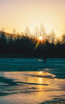 A peaceful sunrise over an icy lake with silhouetted trees and vibrant reflections.