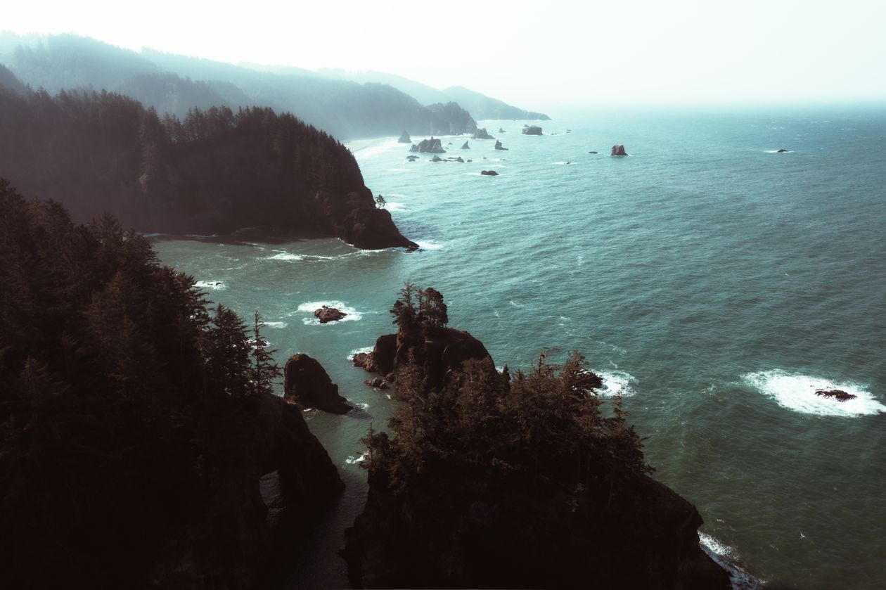 Aerial view of a misty, forested coastline