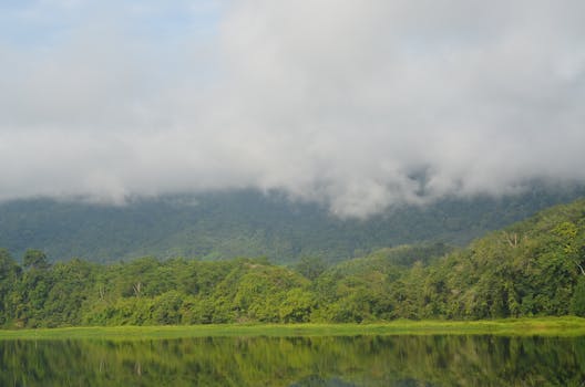 探索马来西亚怡保雾气缭绕的宁静山地景观，绿树成荫，倒影盎然