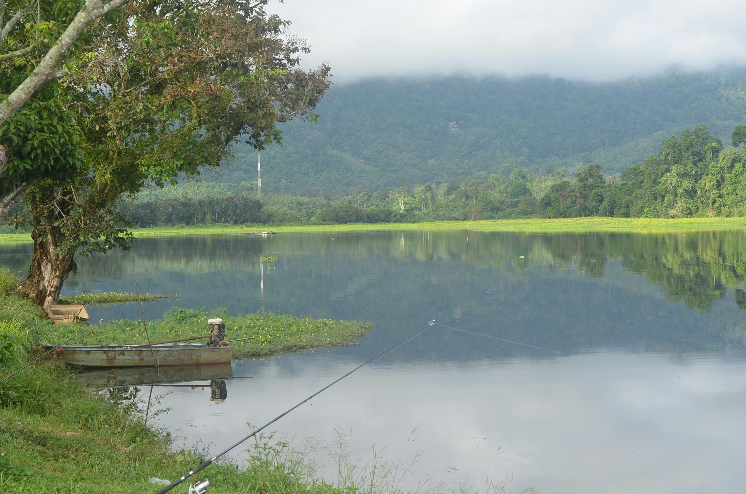 Free stock photo from Aridz · Pexels - 500 x 331 jpeg 22kB