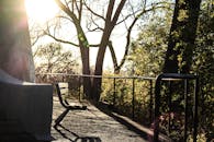 清晨阳光洒满公园长凳，树木与栏杆静静伫立在宁静的森林中