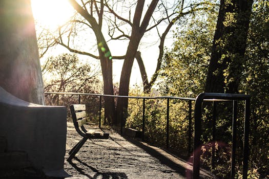 清晨阳光洒满公园长凳，树木与栏杆静静伫立在宁静的森林中