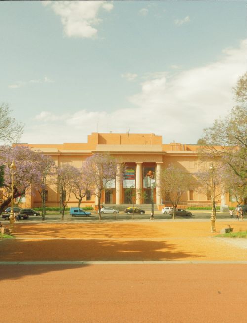 Free Stunning view of the National Museum of Fine Arts in Buenos Aires, Argentina featuring blooming jacaranda trees. Stock Photo
