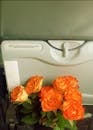 A vase of orange roses sits on the seat of an airplane