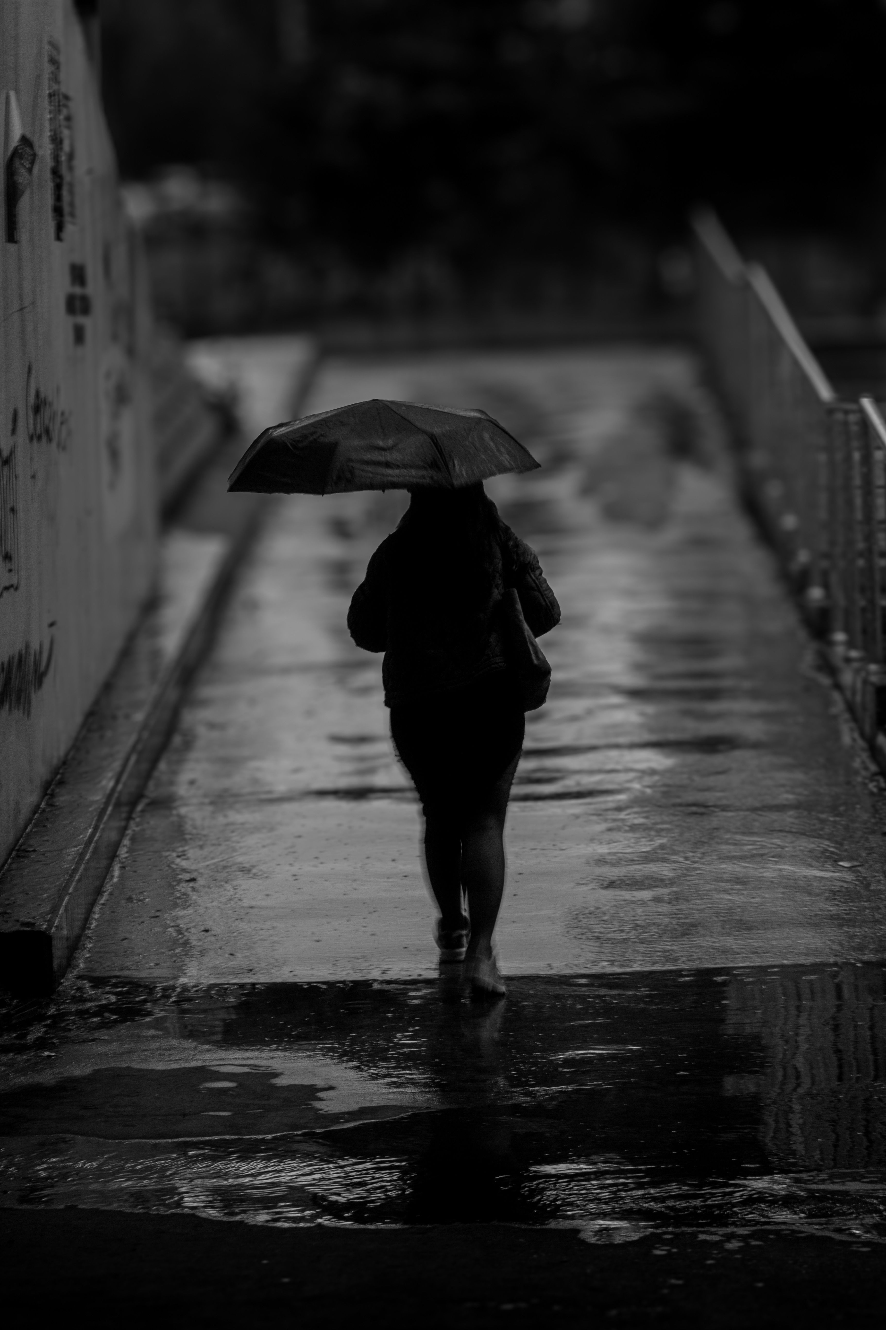 免費 下雨天, 光對比, 剪影 的 免費圖庫相片 圖庫相片