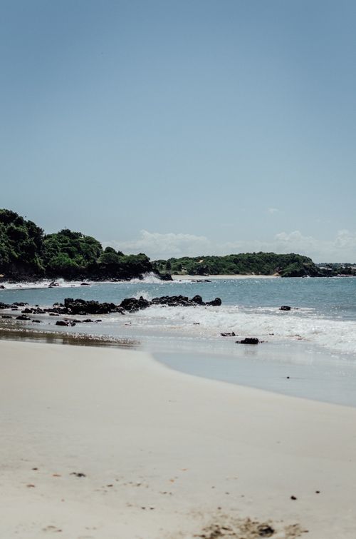 Free Serene seashore view with lush greenery and gentle waves in Rio Grande do Norte, Brazil. Stock Photo