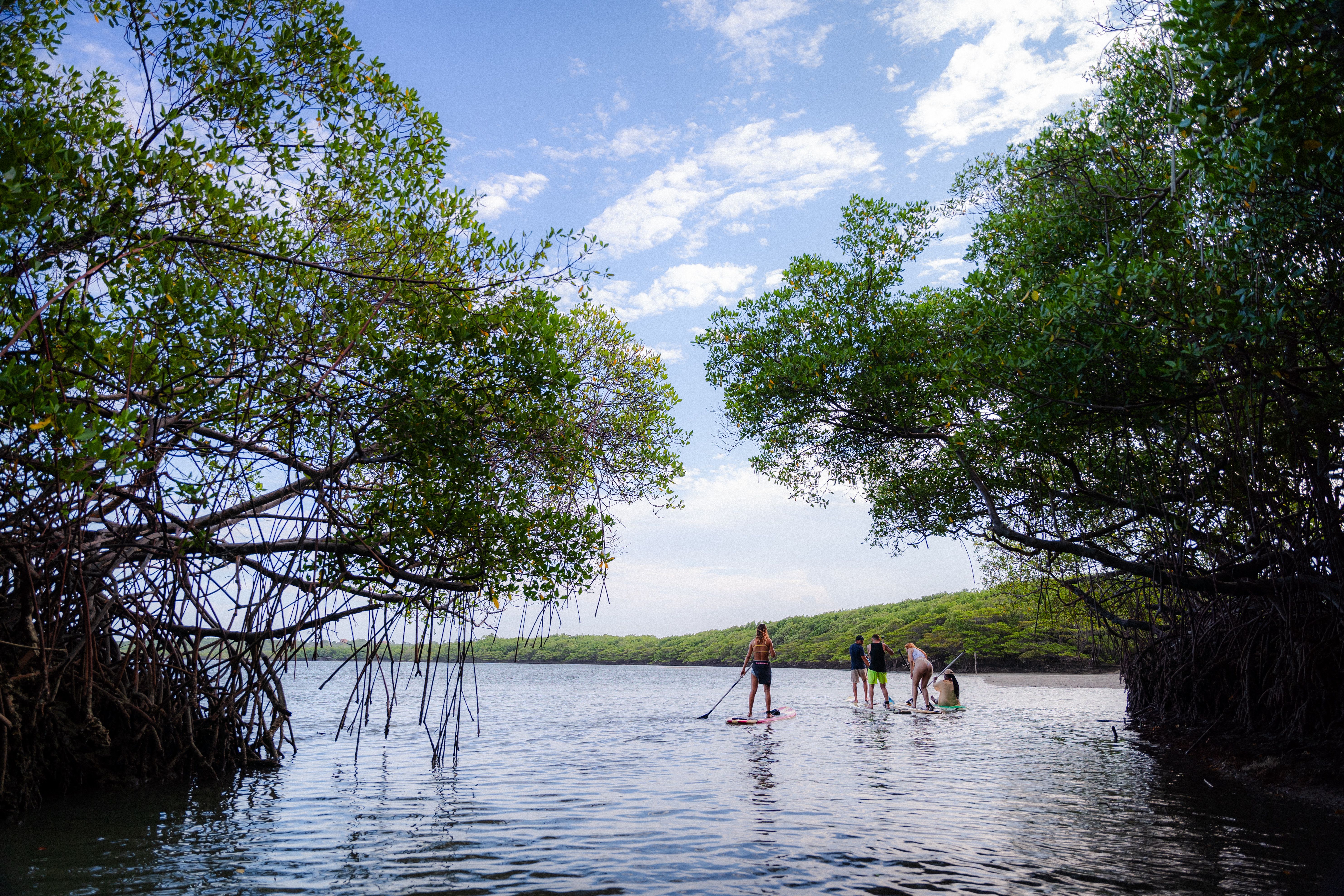 <b>Aktivitas Seru di Hutan Mangrove</b>