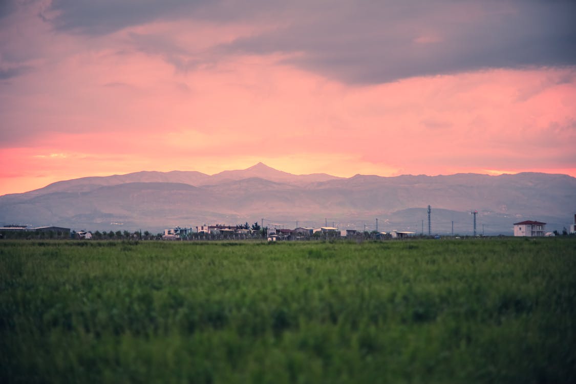 A field with mountains in the background at sunset