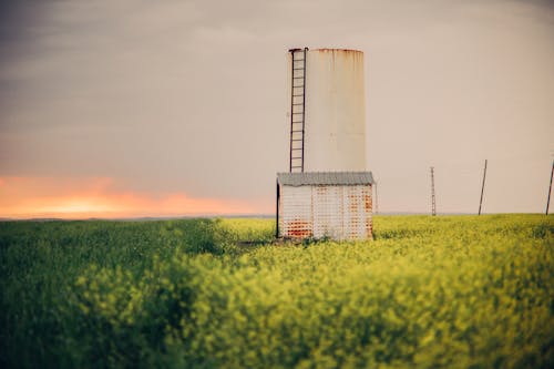 A white silo in a field with a sunset