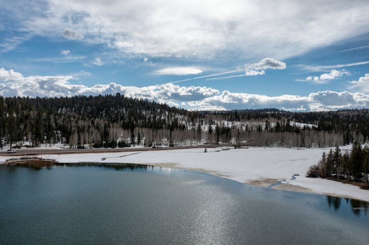 Winter Landscape With Lake