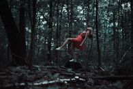 Woman Standing on Brown Tree Trunk