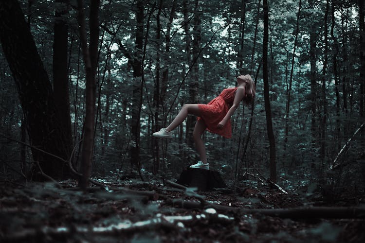 Woman Standing On Brown Tree Trunk