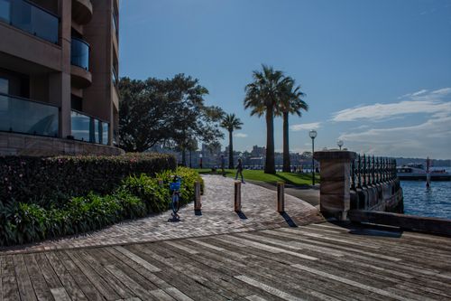 Free Early Morning Pathway The Rocks Stock Photo