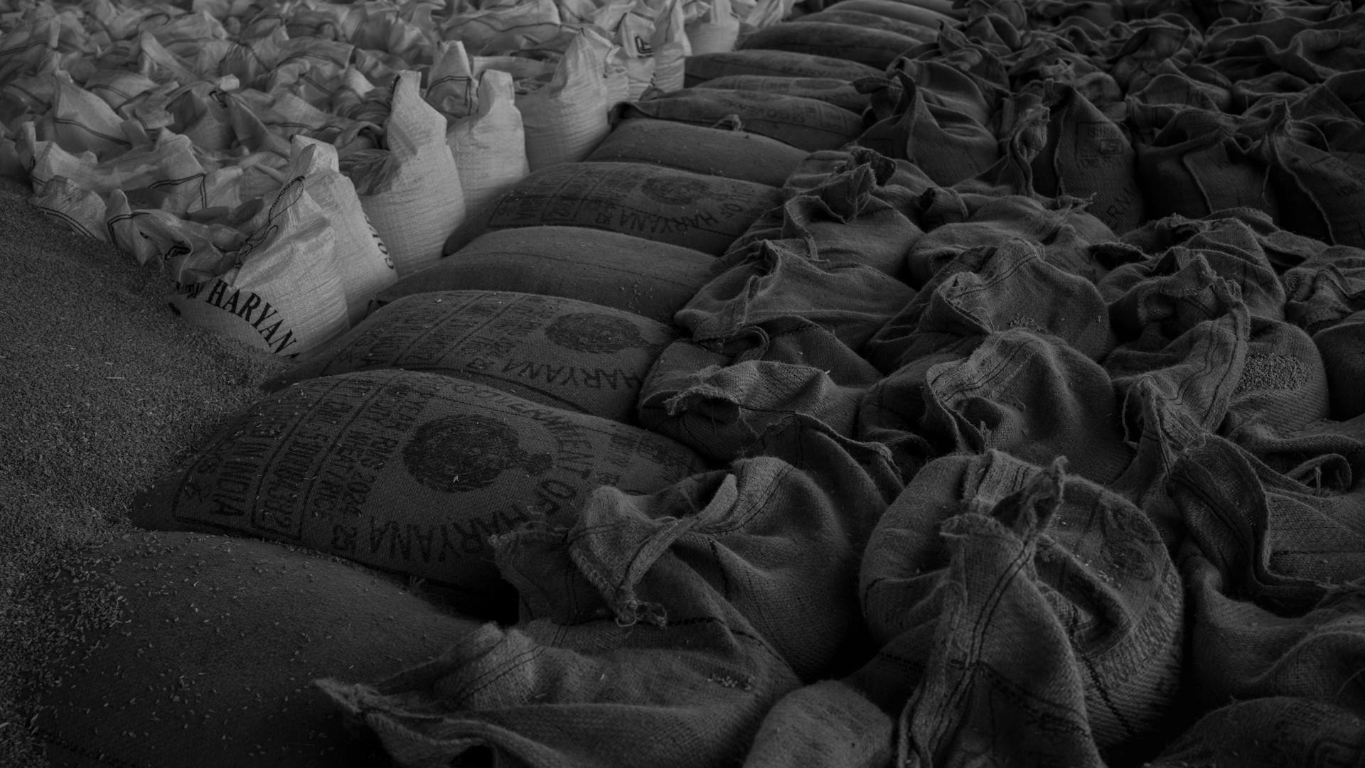 Abstract Shot of Bags of Grain