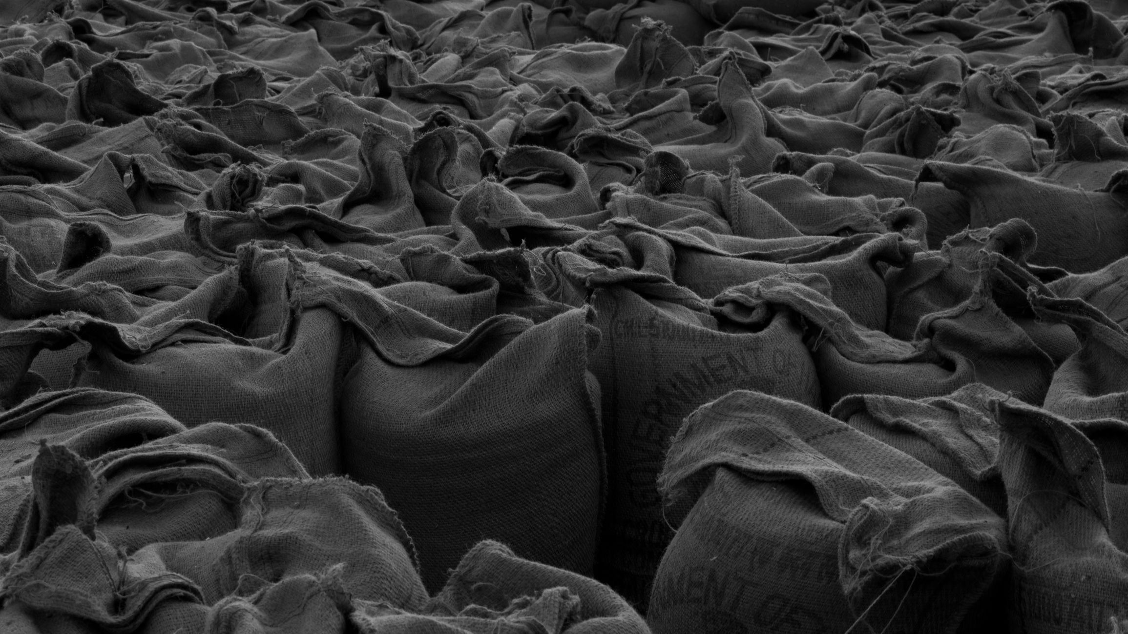 Monochrome photo of tightly packed burlap sacks, creating a textured pattern.