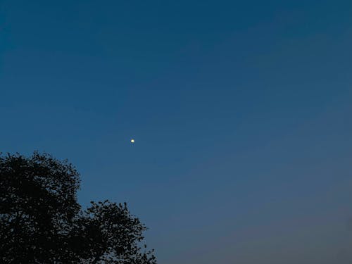 ay, Dolunay, güzel gökyüzü içeren Ücretsiz stok fotoğraf