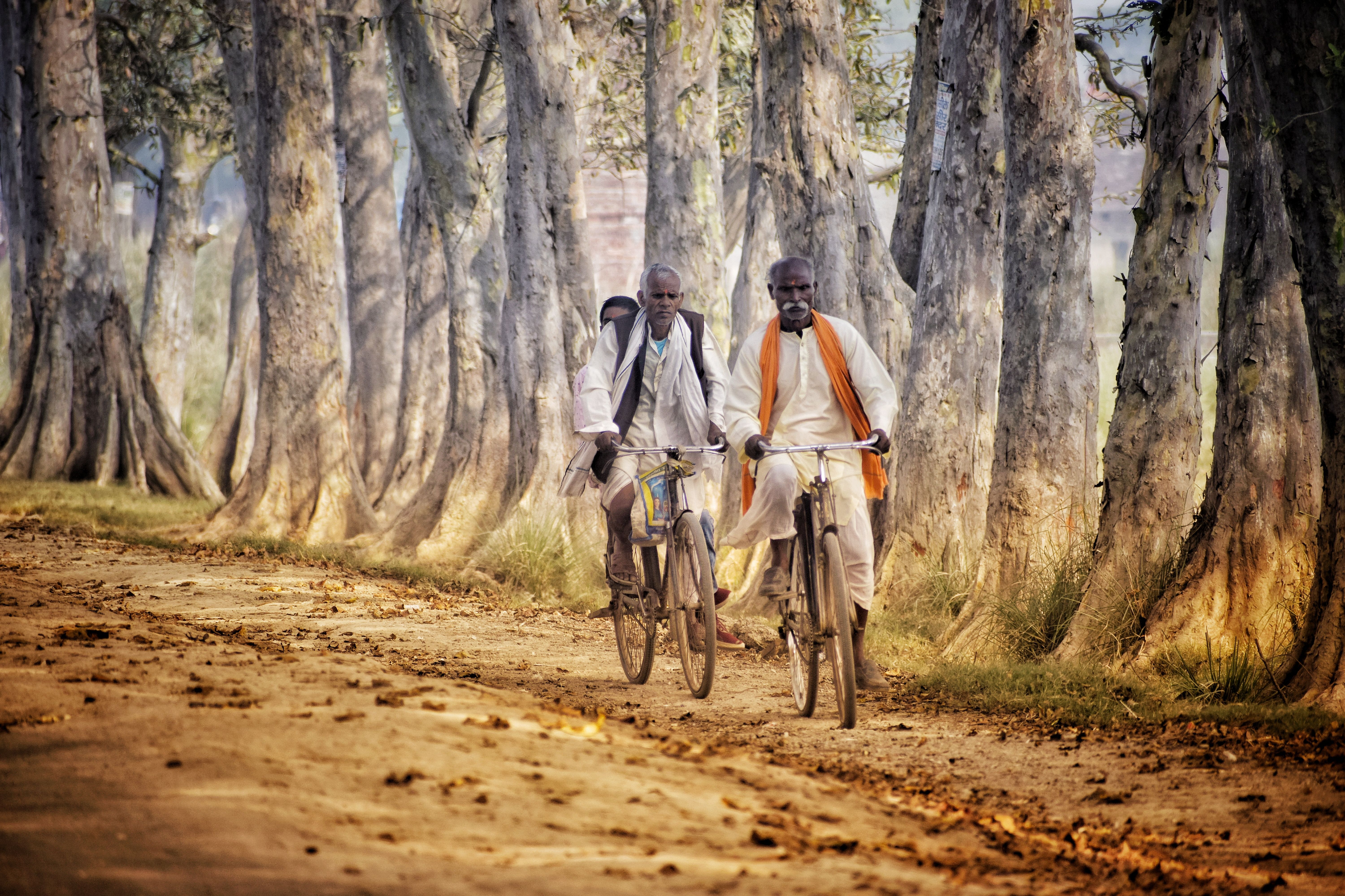 Two Men Riding on Bicycles · Free Stock Photo