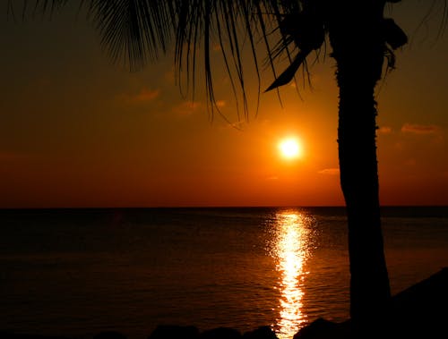 Free Sunset Scenery Stock Photo