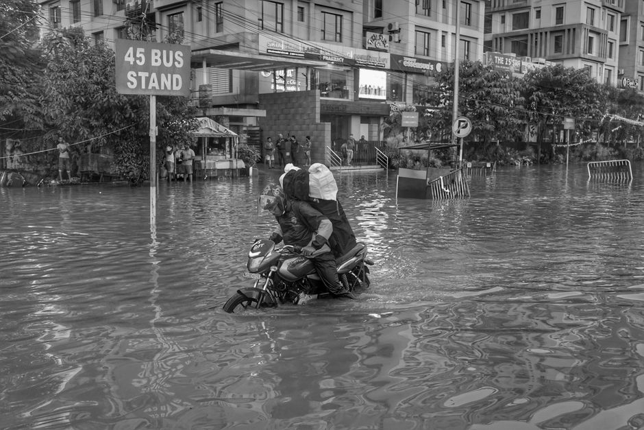 Assam Faces Ongoing Agricultural and Livestock Losses Due to Severe Flooding