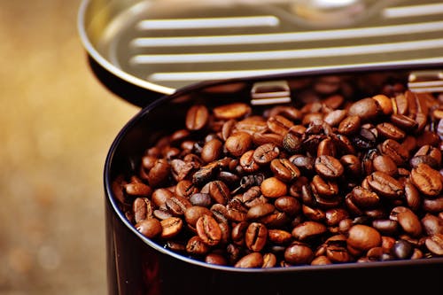 Free Coffee Beans  Stock Photo