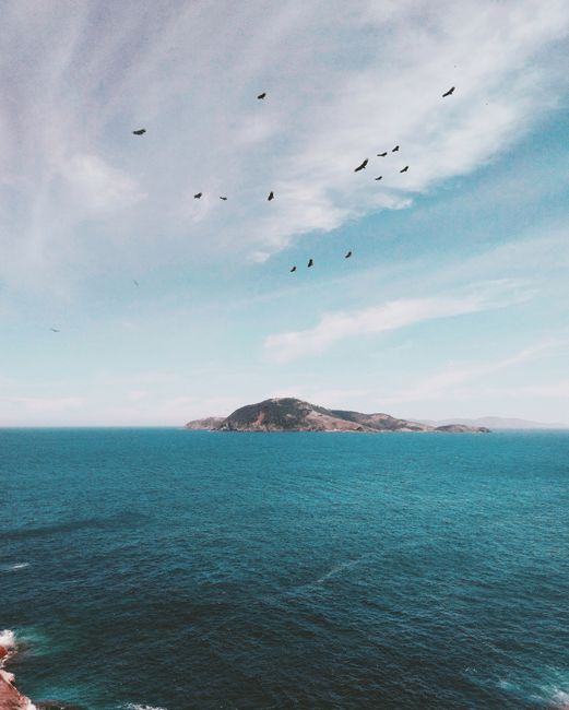 Birds flying over the ocean with a scenic island view in Cabo Frio, Brazil.