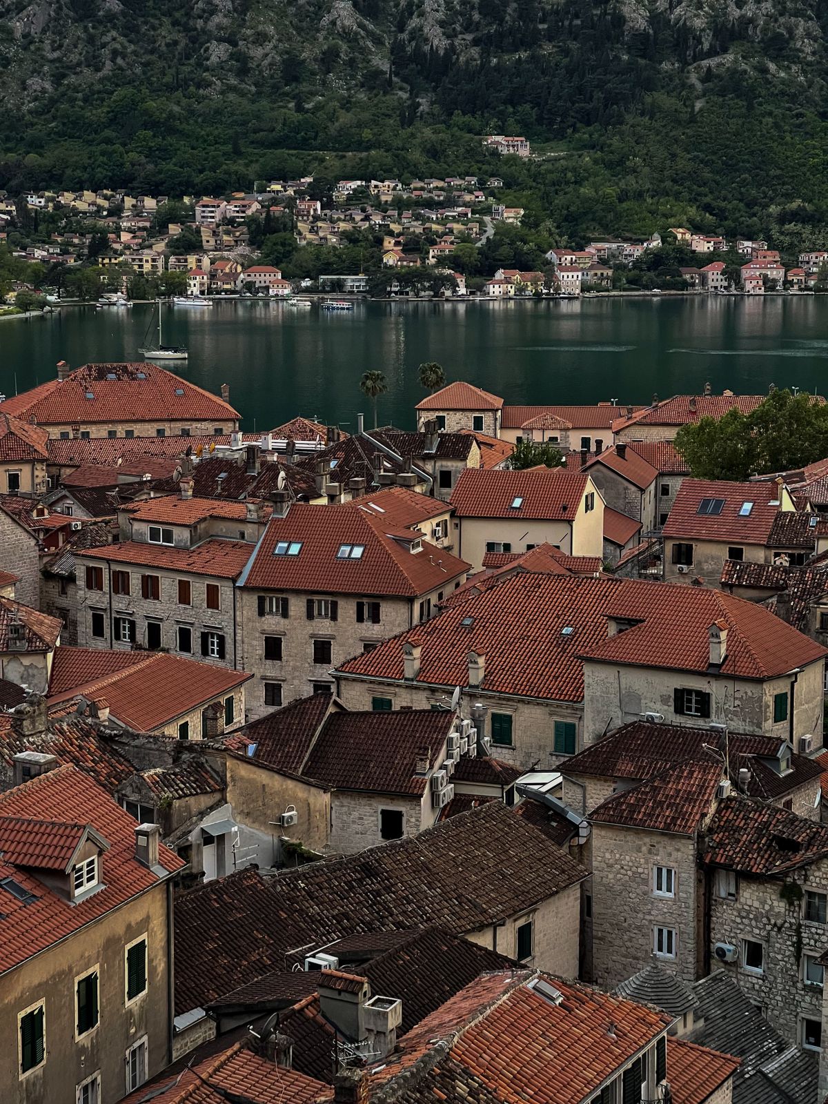 Aerial view of Kotor old town's red rooftops and the bay
