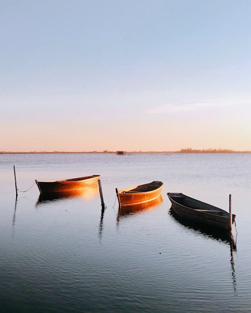 Three Brown Gondolas on Body of Water