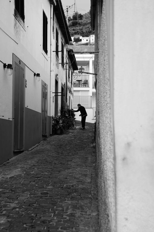 Free A person watering potted plants in a narrow alley, Ilha, Madeira. Stock Photo