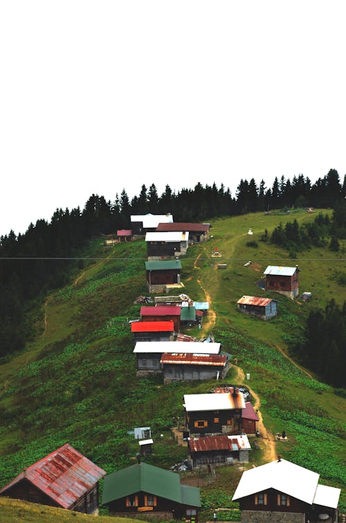 A hillside with many houses on it