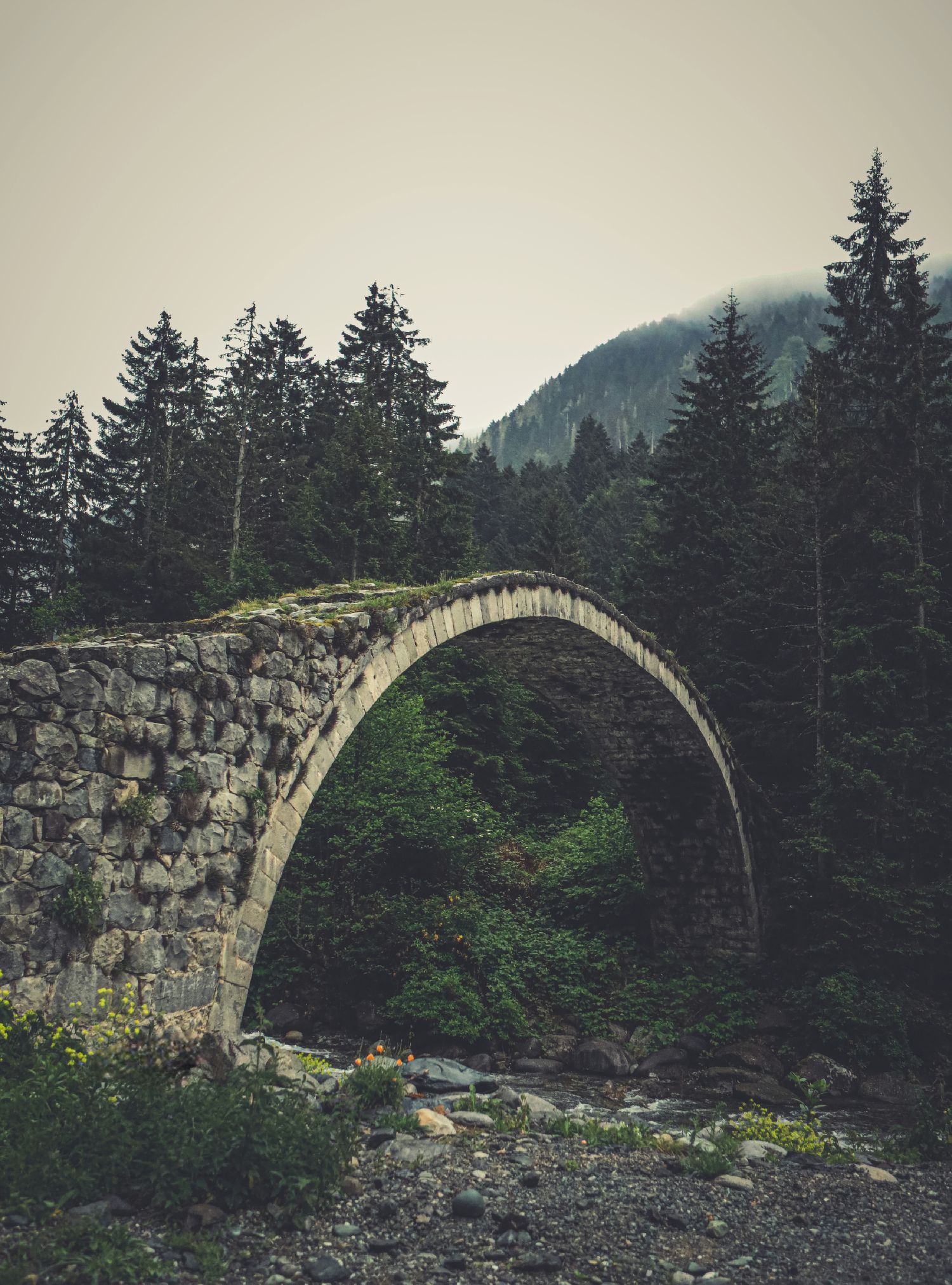 A stone arch bridge in mist, greenery closing in on both banks