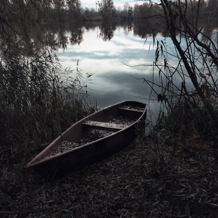 Canoe Boat In Shore