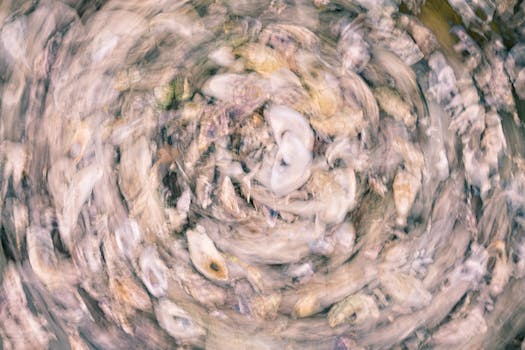 Captivating abstract swirl of shells with a painterly oceanic texture, creating an ethereal natural pattern.