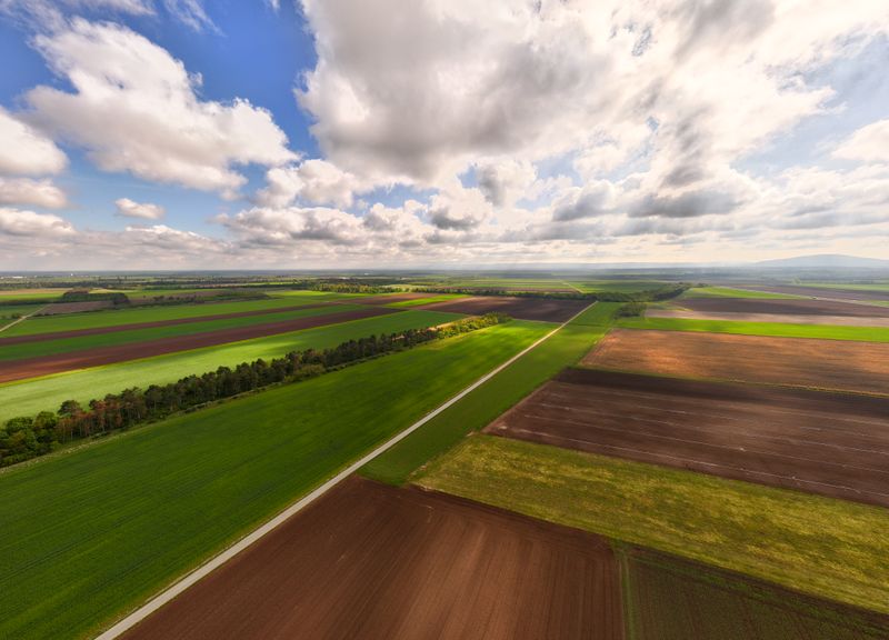 Aerial farmland view
