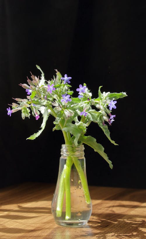 A vase with purple flowers in it on a table