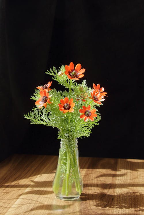 An orange flower in a vase on a table