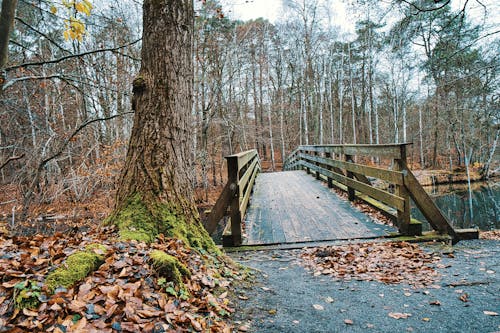 Winter walk at Stechlin-Ruppiner Land Nature Park 7
