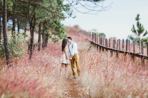 Free Couple Kissing Beside Trees Stock Photo