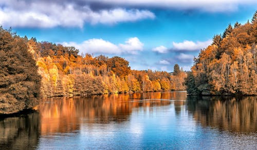 Fall Foliage 2025: When & Where to See Peak Autumn Colors