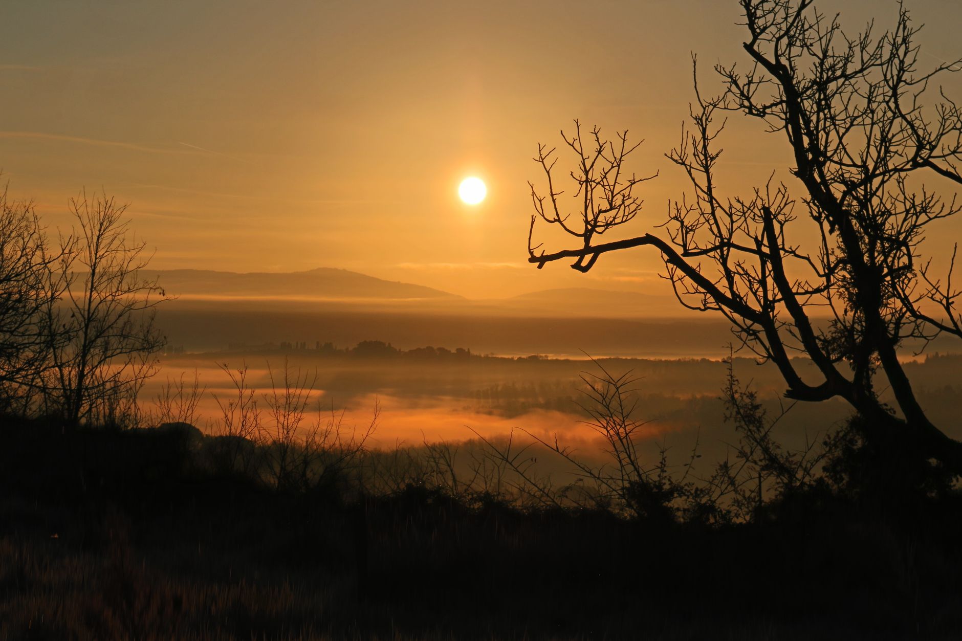 Captivating sunrise over a misty countryside with silhouetted trees and soft morning light.